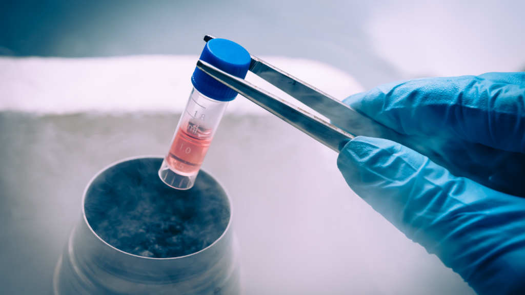 stem cell therapy
