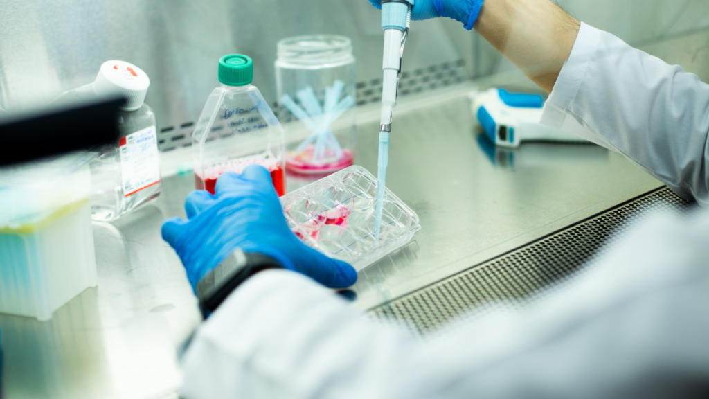 stem cell therapy