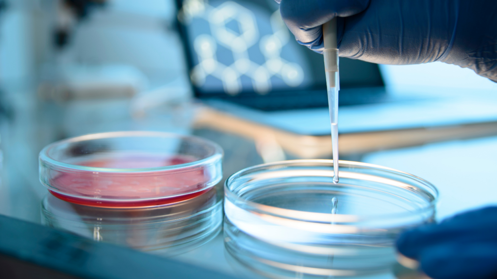 stem cell therapy
