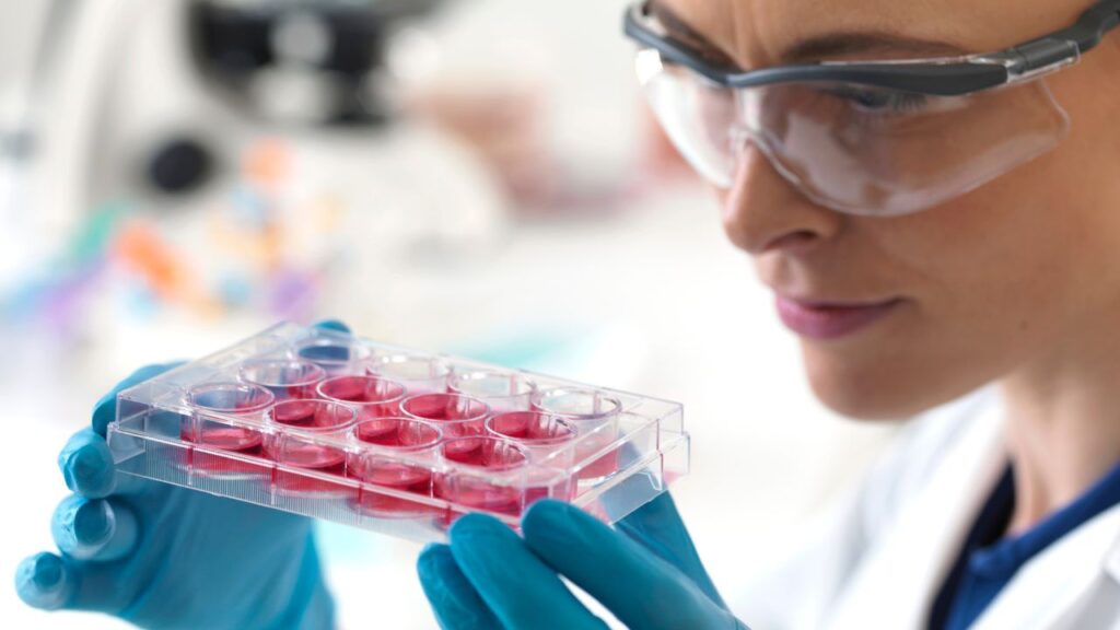 stem cell treatment