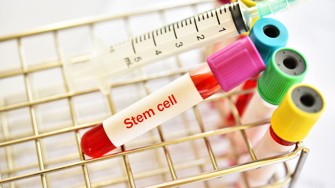regenerative medicine